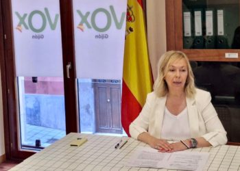 Vox propone la creación de un consejo de comercio para Gijón
