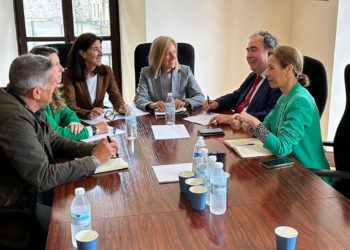 El PP propugna crear un nuevo Juzgado de Violencia de Género en Gijón