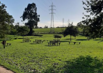 El desbroce de las sendas Fluvial, Peñafrancia y Vía Verde comenzará la próxima semana