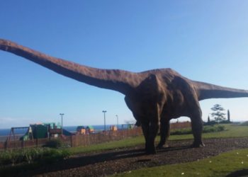 El MUJA y el Centro Tito Bustillo celebran el Día del Medio Ambiente