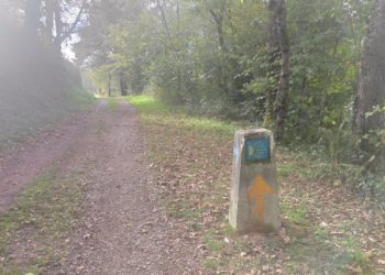 Denuncian la desaparición de su hermano en Tineo y aparece en Burdeos