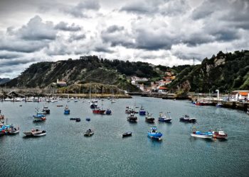Las cofradías de pescadores de Asturias celebran elecciones