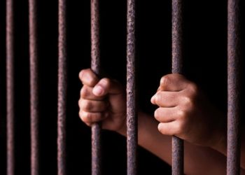 El agresor sexual de El Entrego acepta nueve años de prisión