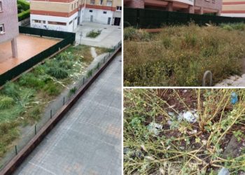 «Esto es un vertedero; tenemos basura, ratas y bichos por todas partes, y nadie hace nada»