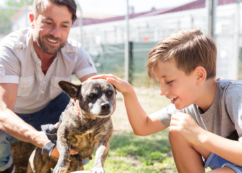 ¿Qué requisitos cumplir para recibir una ayuda a la conciliación?
