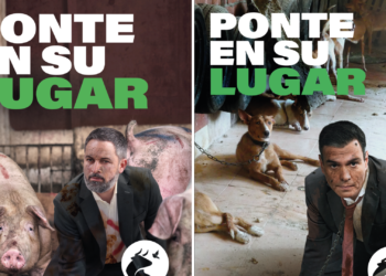 PACMA denuncia que Renfe y Adif censura su campaña por «atentar» contra los políticos