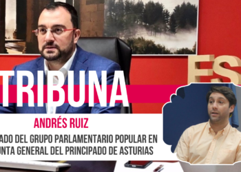 Una investidura al servicio de Sánchez