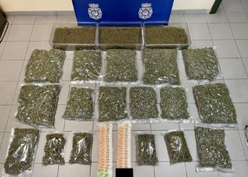 Intervienen más de quince kilos y 600 plantas de marihuana en Illas