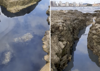 VÍDEOS | Vertidos de suciedad contaminan el río Piles y la playa de San Lorenzo