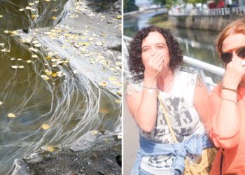 «En la vida el Piles olió así; casi vomitamos»