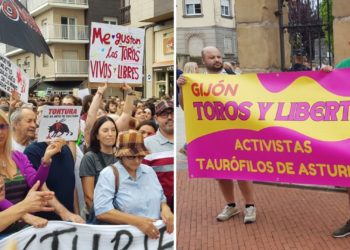 El clamor antitaurino toma los alrededores de El Bibio