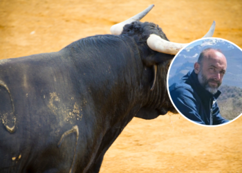 Hablemos de toros, no de toreros
