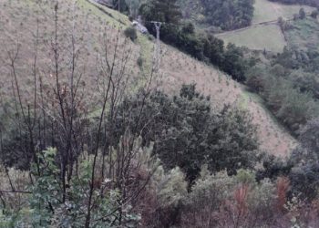 La caída de un tractor desde veinticinco metros deja un muerto en Valdés