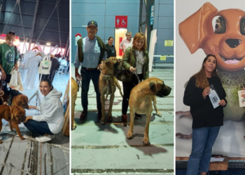 El Recinto Ferial Luis Adaro ya prepara ‘Espacio Mascotas 2023’