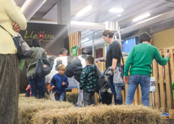 Concurso de Raza Frisona, exhibiciones, degustaciones y más este fin de semana en Agropec