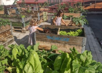 Naturaleza, gastronomía y hermandad; la Fiesta de la Cosechona regresa al Alto Pumarín