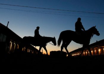Reconoce que empleó a un senegalés irregular de forma abusiva y en situación insalubre