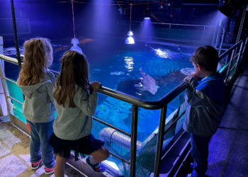 El BIOPARC Acuario de Gijón presenta su programa escolar para este curso