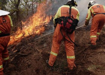 Riesgo ‘muy alto’ de incendio forestal este jueves en el suroccidente asturiano