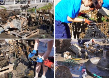 Gran limpieza de Fomento en el Puerto de Gijón