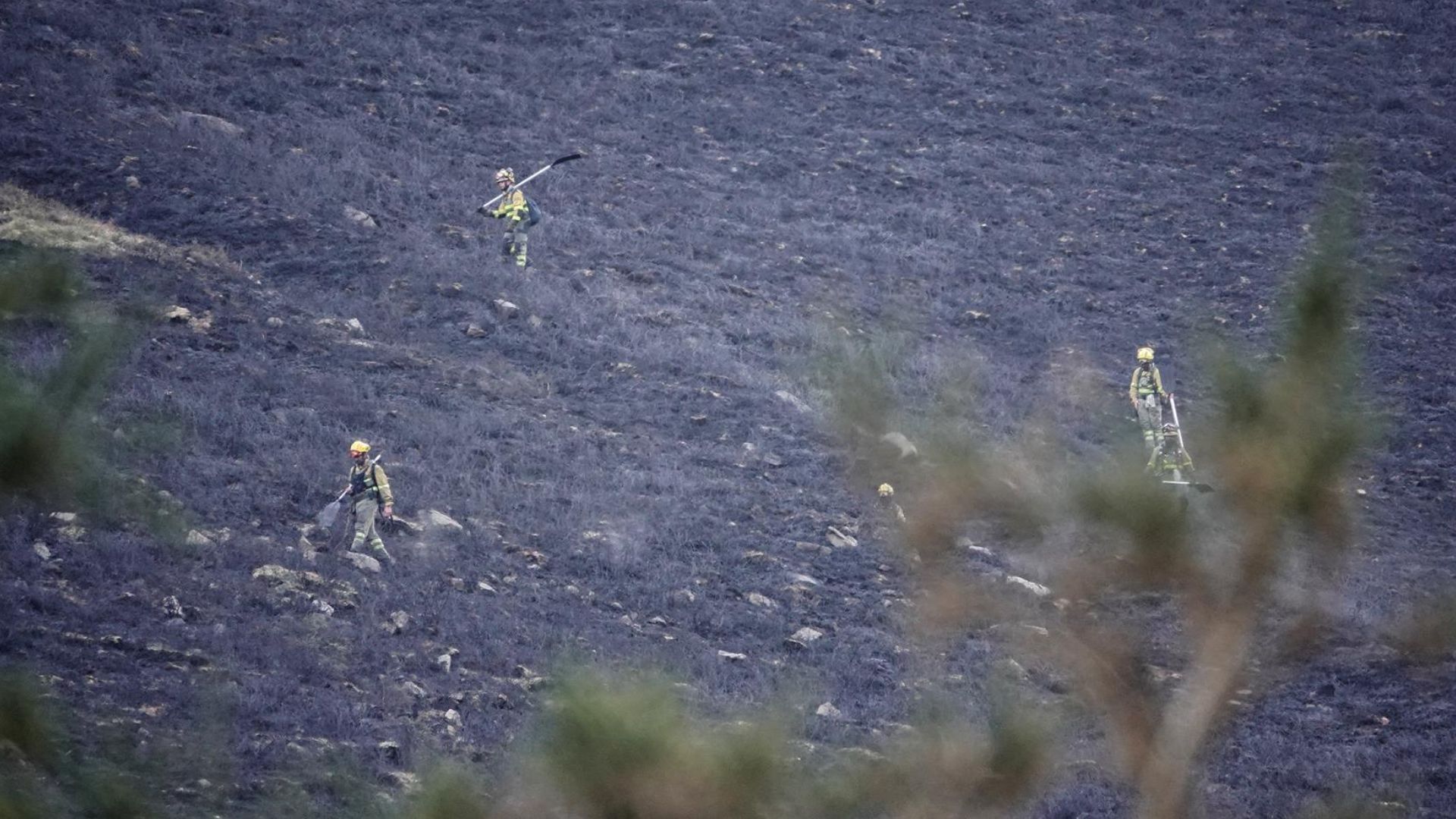 La lluvia contribuye extinguir todos los incendios forestales activos ...