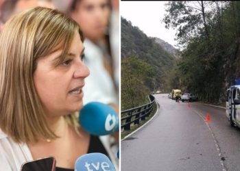 El Principado analiza con «todos los medios técnicos» la zona de Peñamellera Alta donde murió un conductor