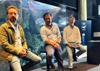 Arte y conservación marina vuelven a ser los pilares de un Wild Oceans FilmFest que sigue creciendo