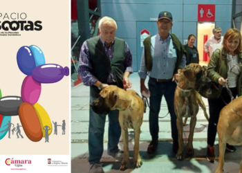 Espacio Mascotas contará, por primera vez, con tres ‘quedadas perrunas’