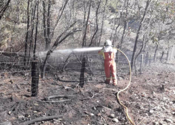 Bomberos evitan la propagación del fuego de una quema forestal en Cangas del Narcea