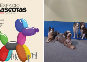 Consulta el programa de Espacio Mascotas 2023 para este fin de semana