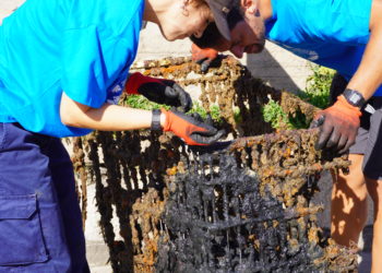 Un patinete, un sombrero mexicano y 3 carritos, entre los objetos encontrados en la limpieza de Fomento