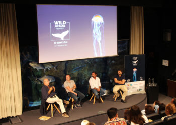 El arte como herramienta para conservar los océanos, protagonista del Wild Oceans FilmFest