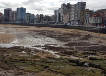 El otoño trae de nuevo las algas a San Lorenzo