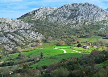 Fallece el conductor de un tractor tras volcar en una finca de Laviana