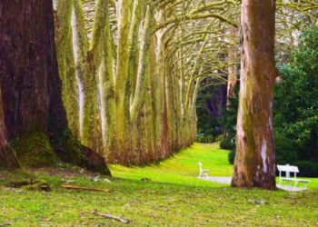El ‘veranillo de San Martín’ cumplirá con su cita y templará las temperaturas del fin de semana