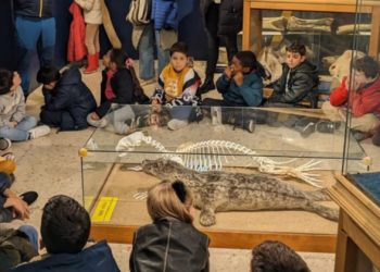 El Centro Oceanográfico de Gijón lleva su ‘Mareona’ a barrios y colegios