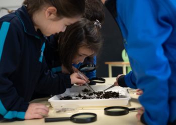 La «magia» del compost inunda el colegio de La Inmaculada
