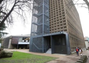 Una mujer herida en Oviedo tras la caída de un árbol por el viento