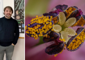 Eduardo Cires, profesor en la Universidad de Oviedo, gana el premio nacional Fotciencia20