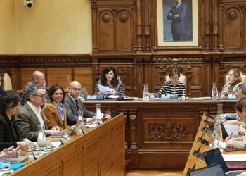 El Gobierno frena el intento de IU de reprobación a Oliver Suárez por sus palabras sobre el asturiano