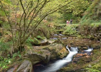 Hallan sin vida a un hombre que desapareció este viernes mientras hacía la Ruta del Alba