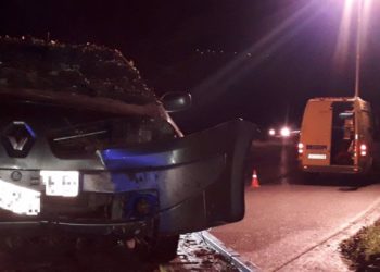 Herida una mujer de 54 años en Tineo tras salirse con su coche de la AS-215