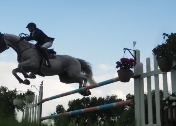 El Patronato Deportivo incorpora a sus cuentas los premios del Hípico y la ampliación del Mata Jove