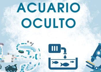 El Bioparc Acuario de Gijón abrirá al público este diciembre sus secretos mejor guardados