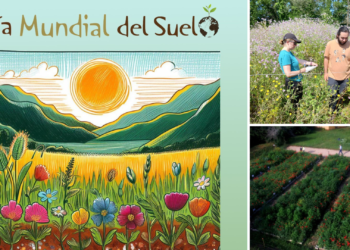 Gijón Ecoresiliente organiza varias actividades para conmemorar el Día Mundial del Suelo