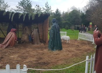 GALERÍA | La Navidad despliega todo su brillo en el Botánico