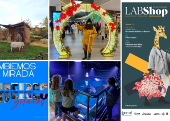 Planes | LABshop, Campamento en el Acuario, belén en el Botánico y mucho más