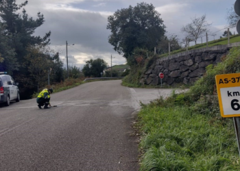 Investigan a un conductor de Carreño por homicidio imprudente tras un accidente con una mujer fallecida