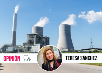 Los irresponsables y kamikazes derribos de las centrales térmicas