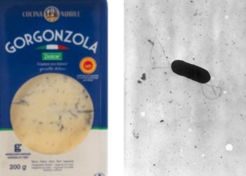 Alerta por la presencia de ‘listeria monocytogenes’ en el queso gorgonzola Cucina Nobile